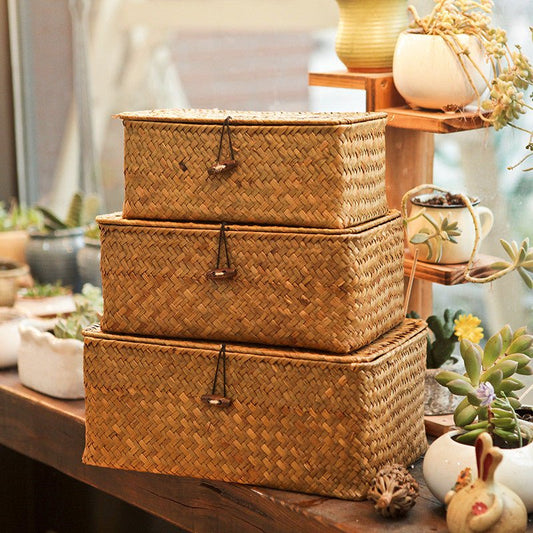 Straw household baskets - Tiny Zen Gardens