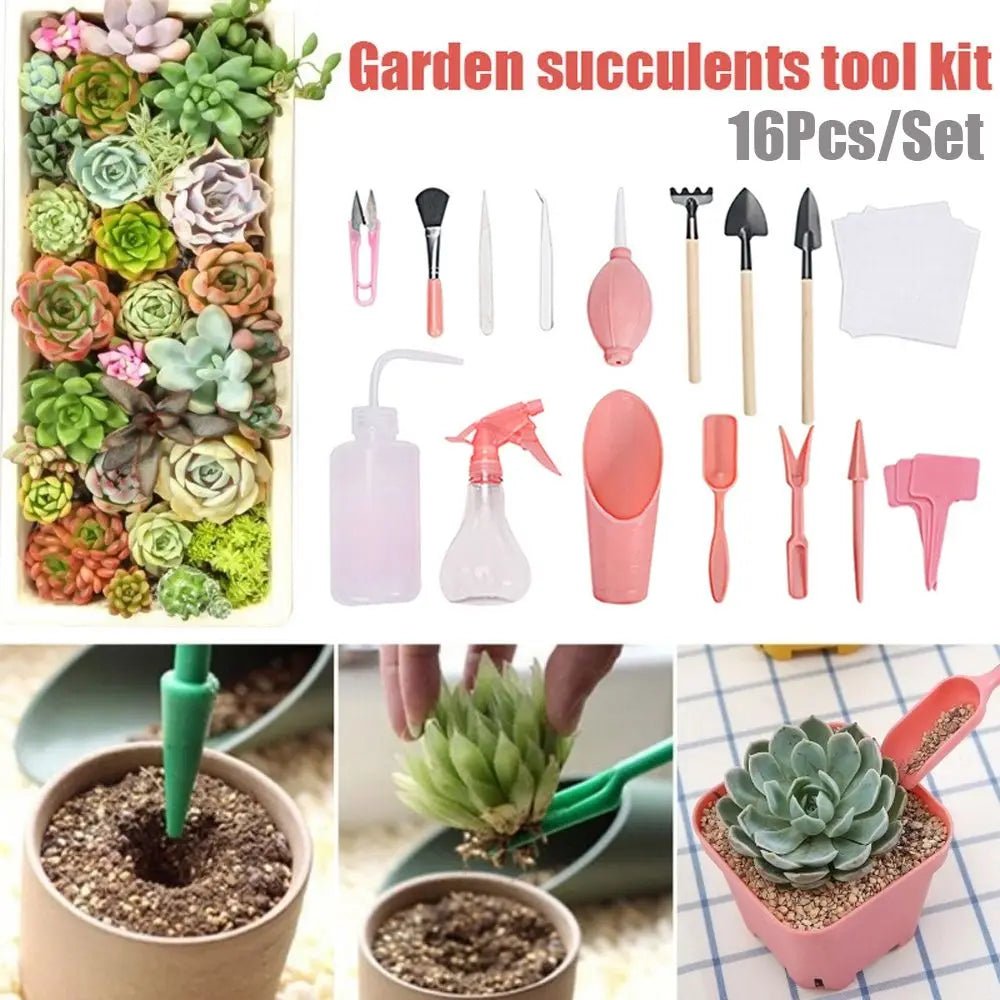 Terrarium Tool Kit - Tiny Zen Gardens