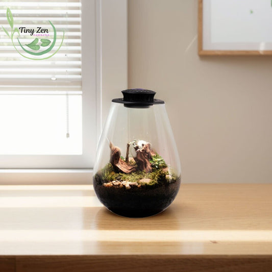 Terrarium with Grow Light Micro - Landscape - Tiny Zen Gardens