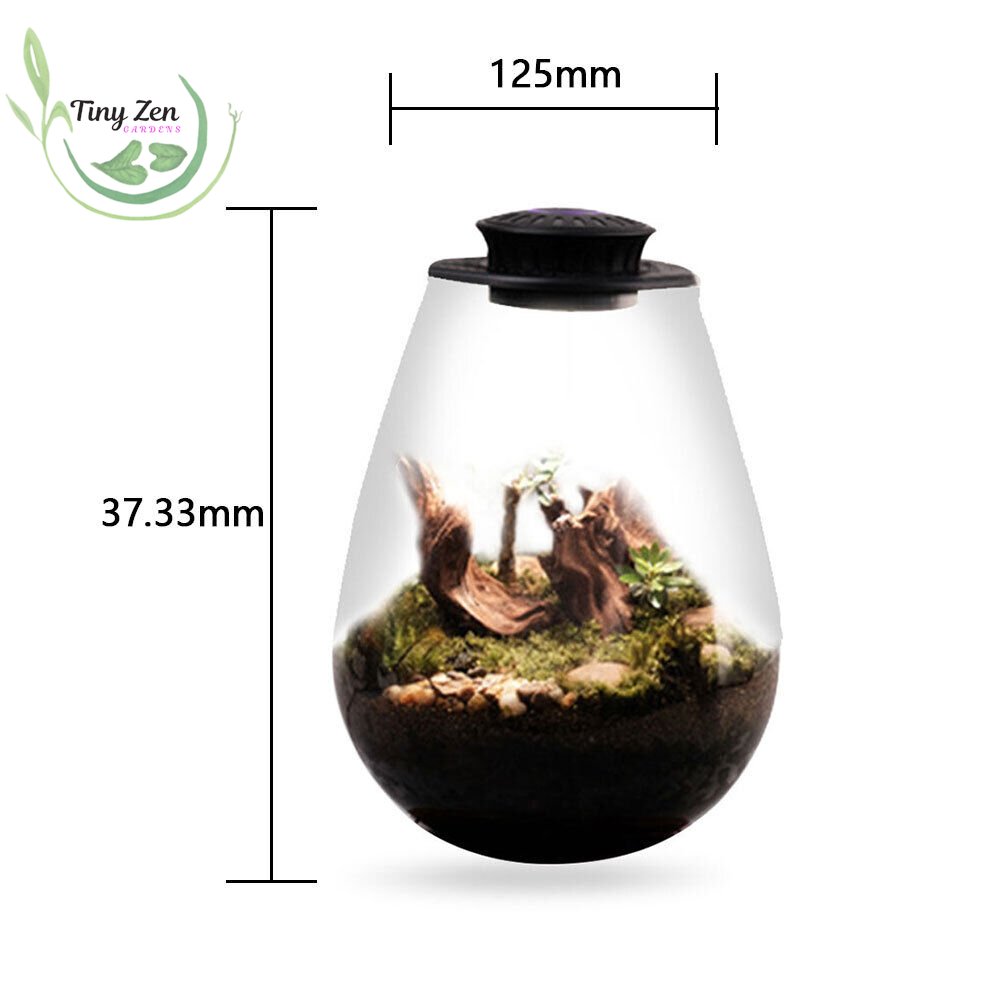 Terrarium with Grow Light Micro - Landscape - Tiny Zen Gardens