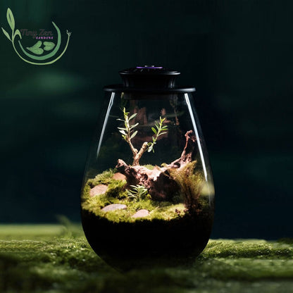 Terrarium with Grow Light Micro - Landscape - Tiny Zen Gardens