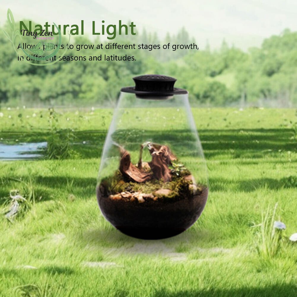 Terrarium with Grow Light Micro - Landscape - Tiny Zen Gardens