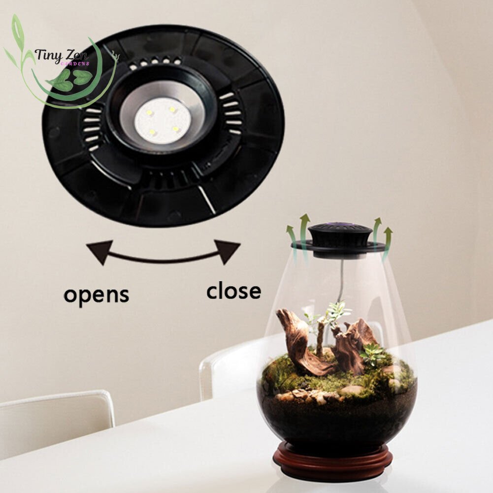 Terrarium with Grow Light Micro - Landscape - Tiny Zen Gardens