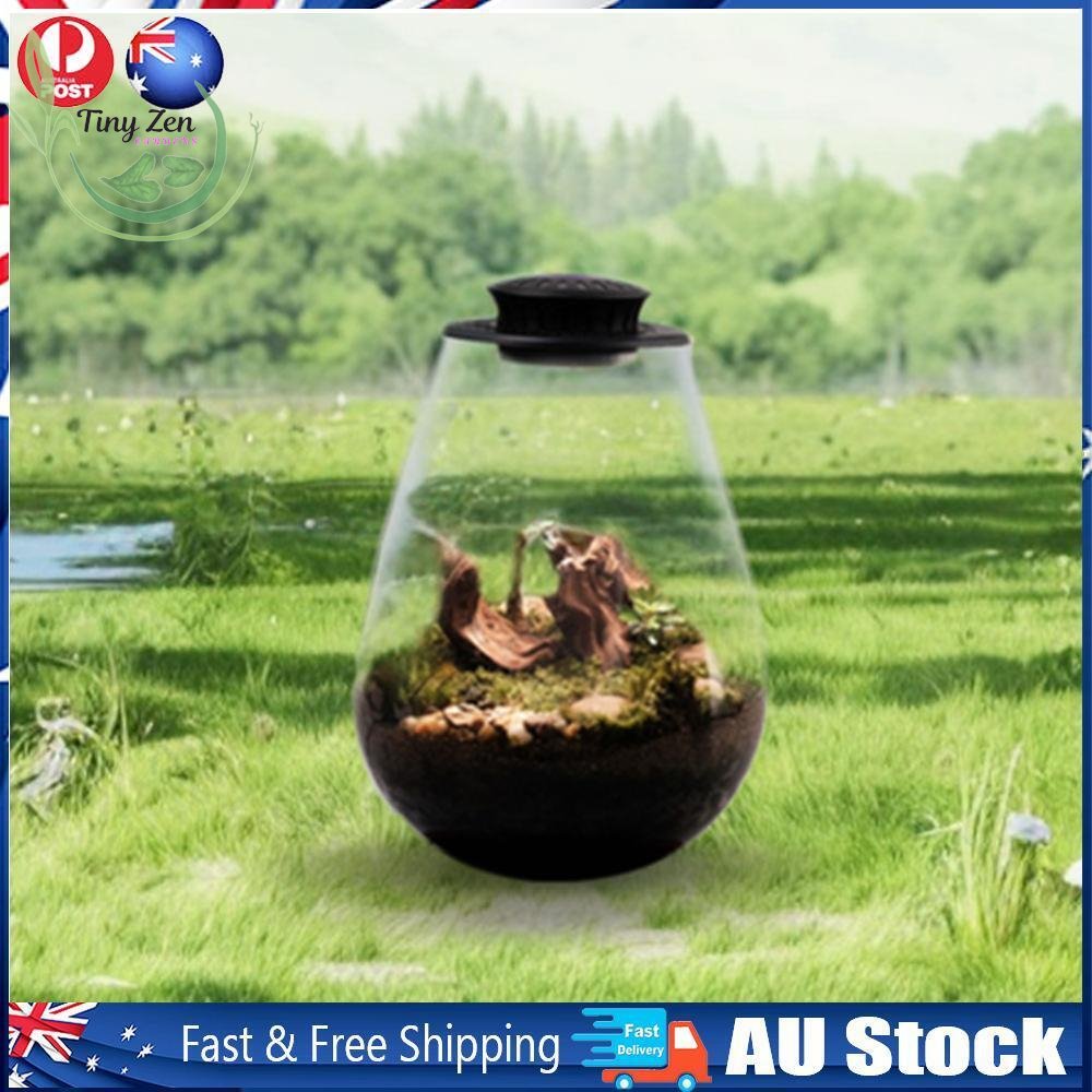 Terrarium with Grow Light Micro - Landscape - Tiny Zen Gardens