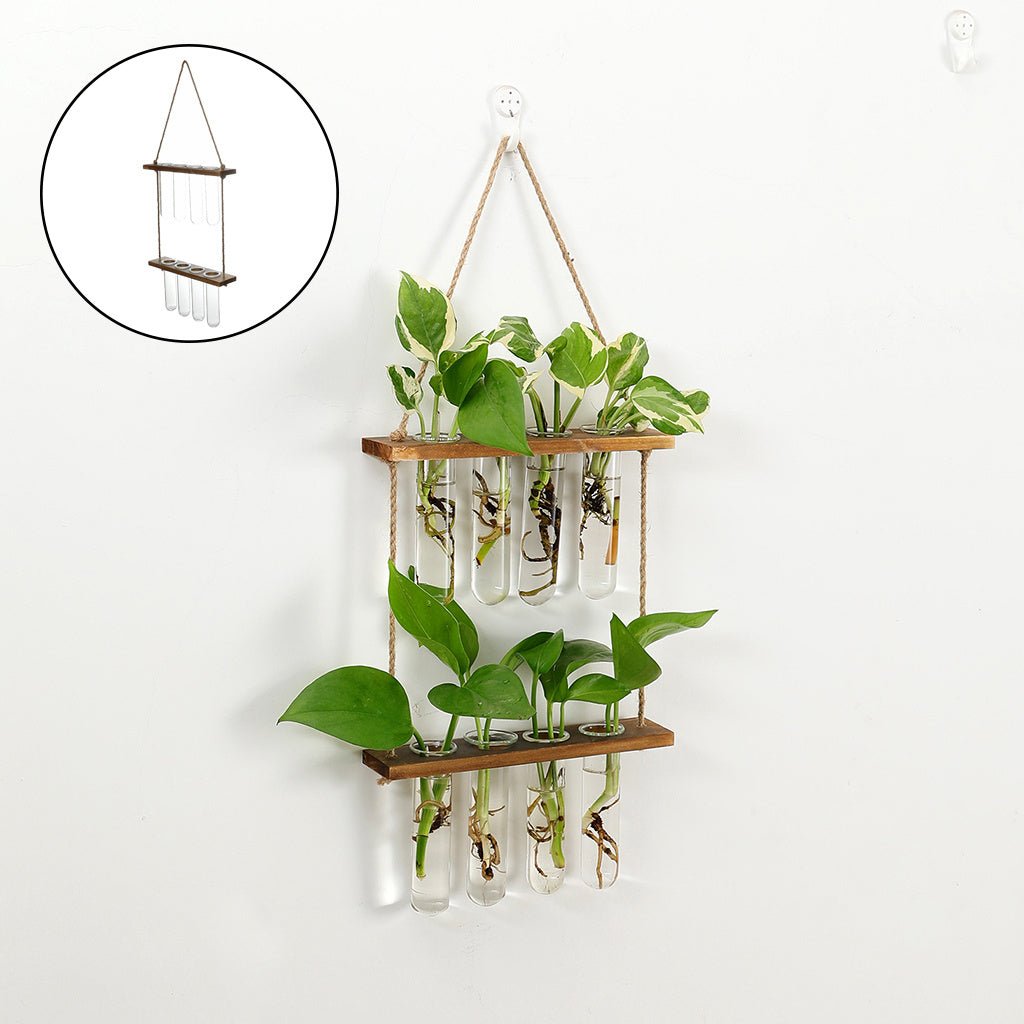 Wall Hanging Flower/Glass/Planter/Propagator/Terrarium - Tiny Zen Gardens