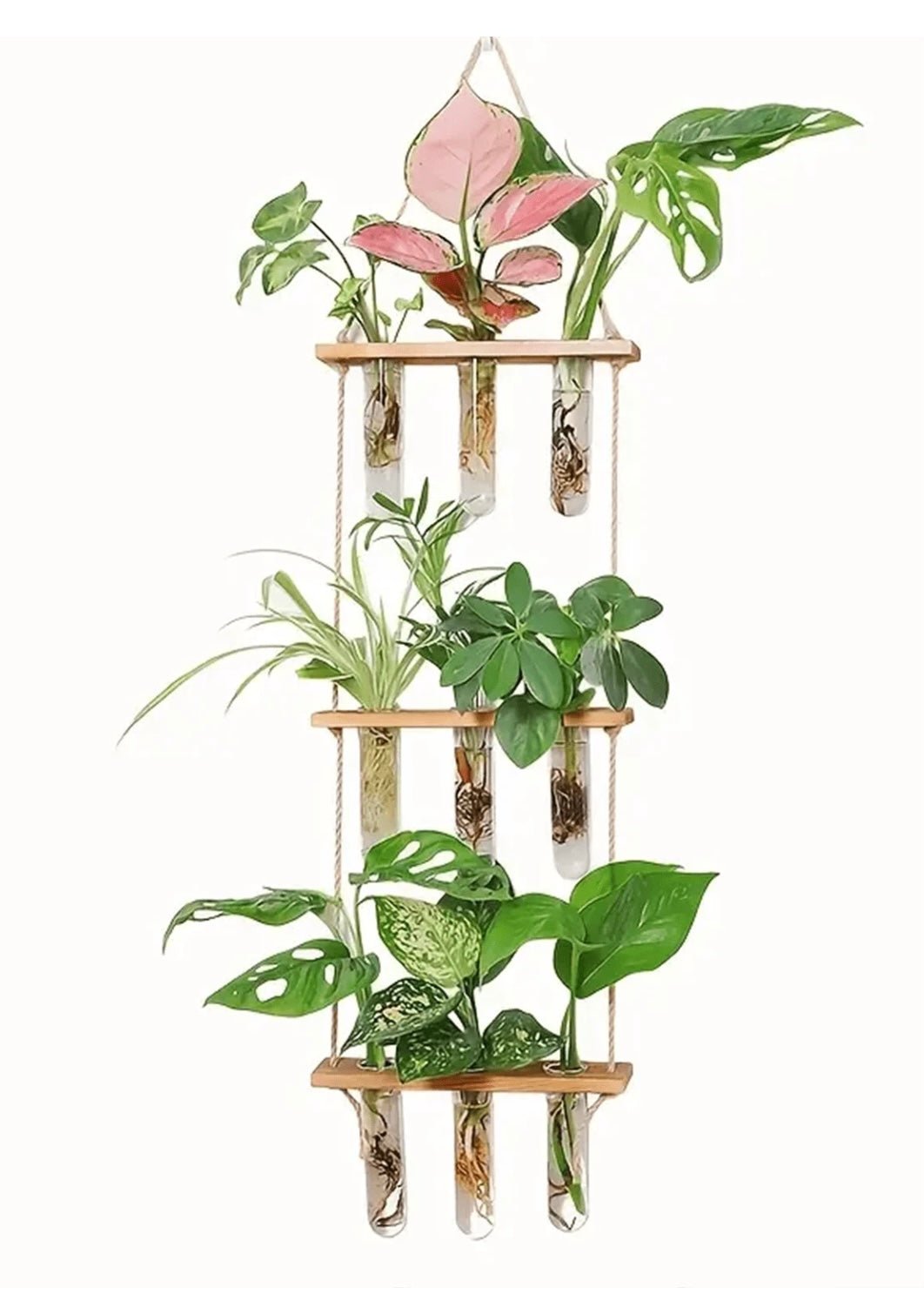 Wall Hanging Flower/Glass/Planter/Propagator/Terrarium - Tiny Zen Gardens