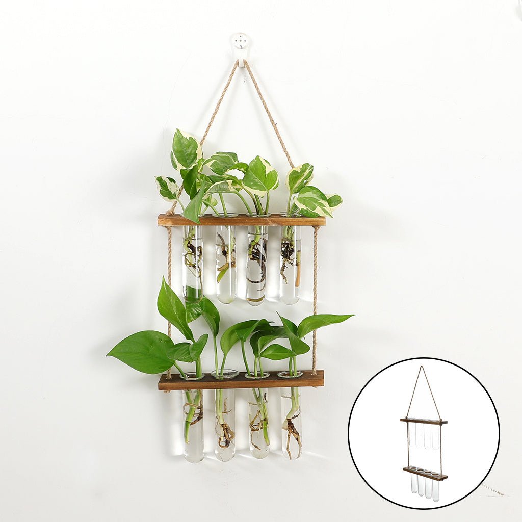 Wall Hanging Flower/Glass/Planter/Propagator/Terrarium - Tiny Zen Gardens