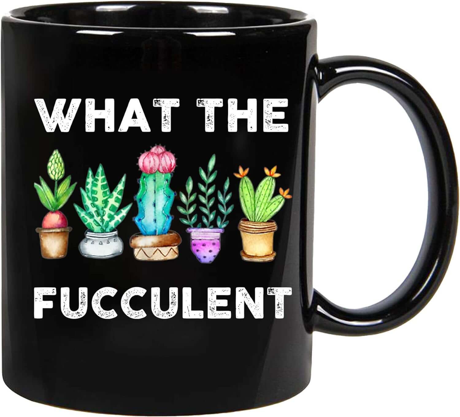 What the Fucculent Mug - Tiny Zen Gardens